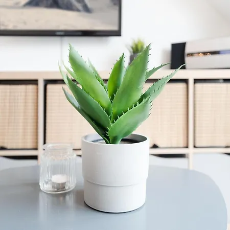 Hansa-residenz Duenennest Apartman